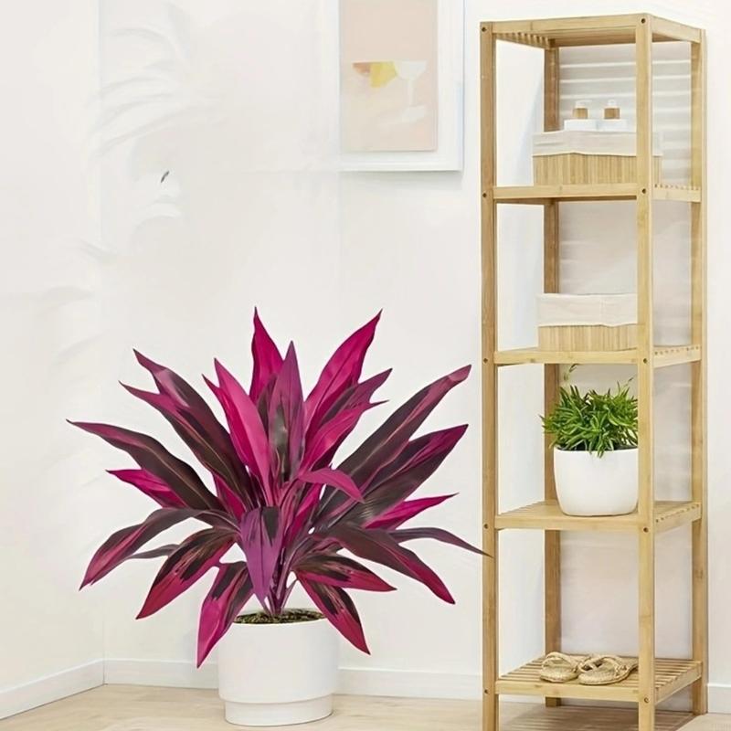 60cm Tall Artificial Dracaena  - Dracaena Marginata incelemesi ve fiyatı