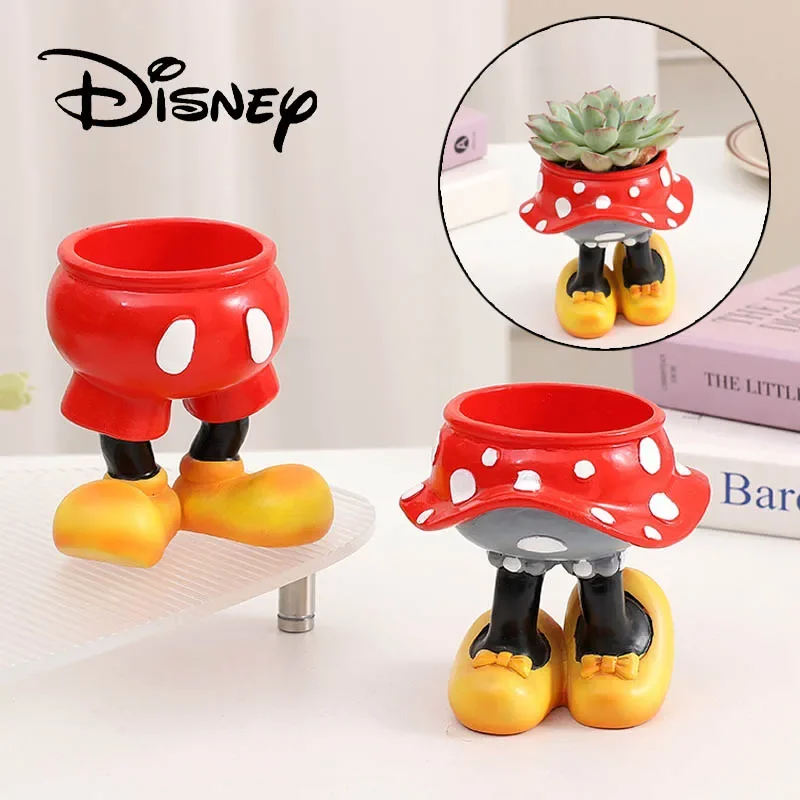 Disney Mickey Minnie Flower Po - Echeveria Succulent incelemesi ve fiyatı