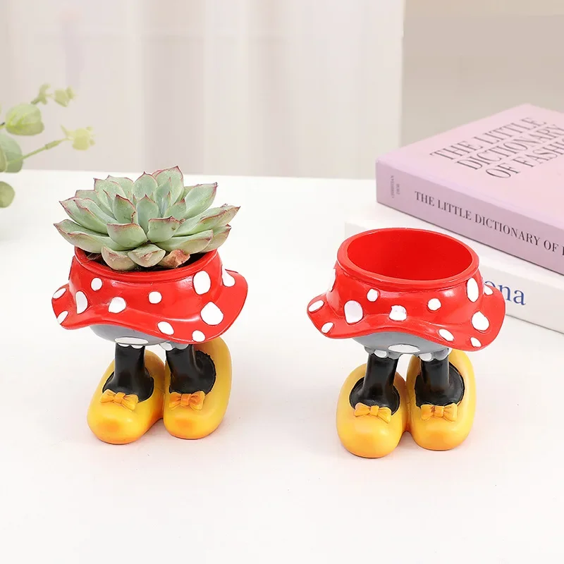 Disney Mickey Minnie Flower Po - Echeveria Succulent incelemesi ve fiyatı
