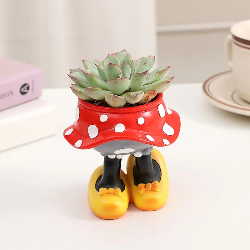Disney Mickey Minnie Flower Po - Echeveria Succulent incelemesi ve fiyatı