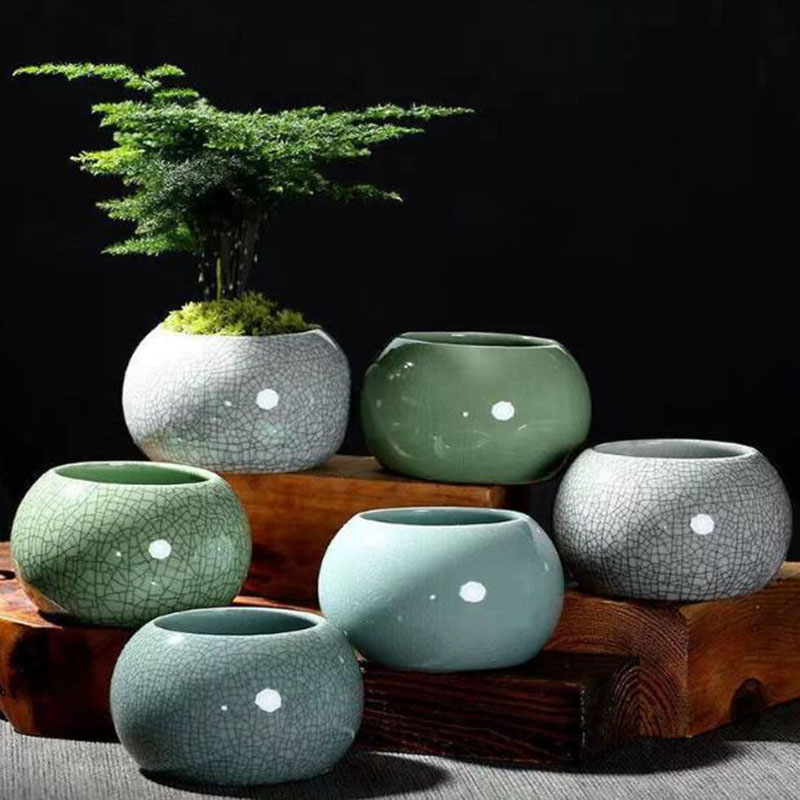 Creative Handmade Geyao Ice Cr - Pilea Peperomioides incelemesi ve fiyatı