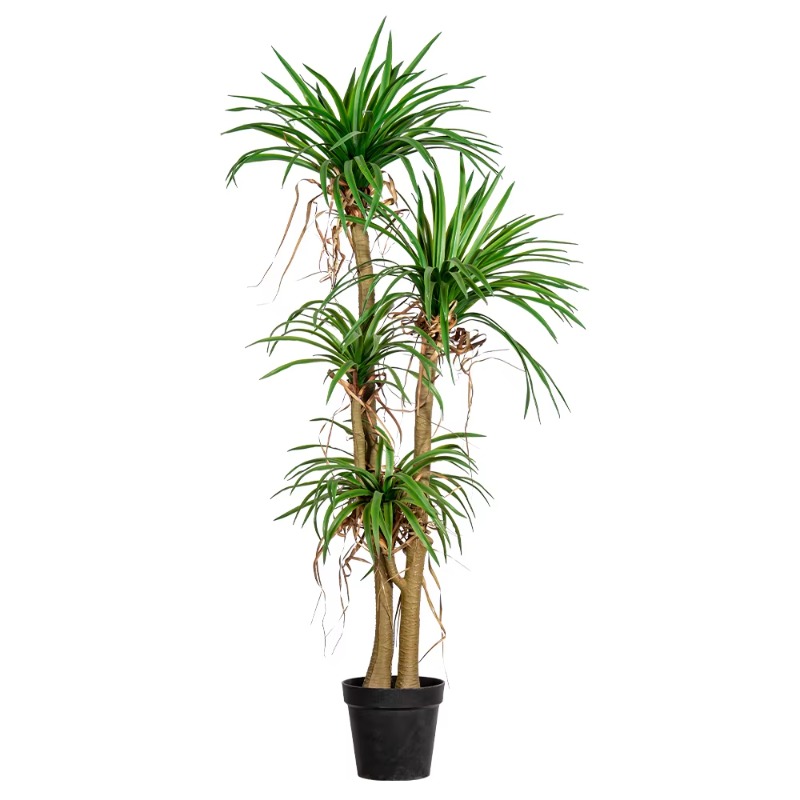 Indoor/Outdoor Home Tree Simul - Dracaena Marginata incelemesi ve fiyatı
