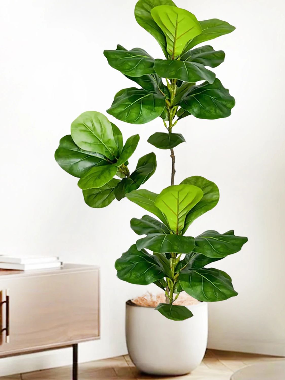 45-135cm  Artificial Fiddle Le - Ficus Lyrata Tree incelemesi ve fiyatı