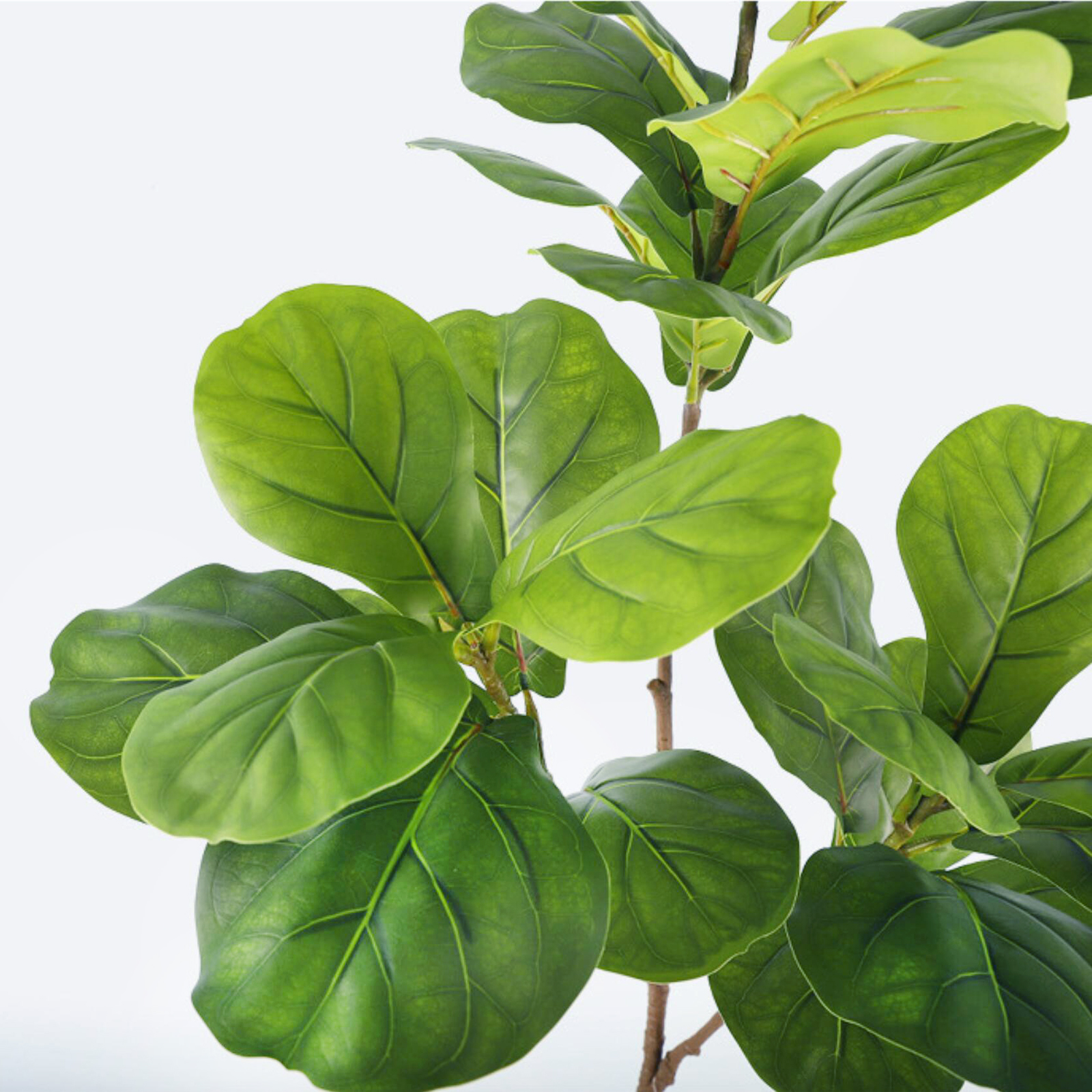 45-135cm  Artificial Fiddle Le - Ficus Lyrata Tree incelemesi ve fiyatı