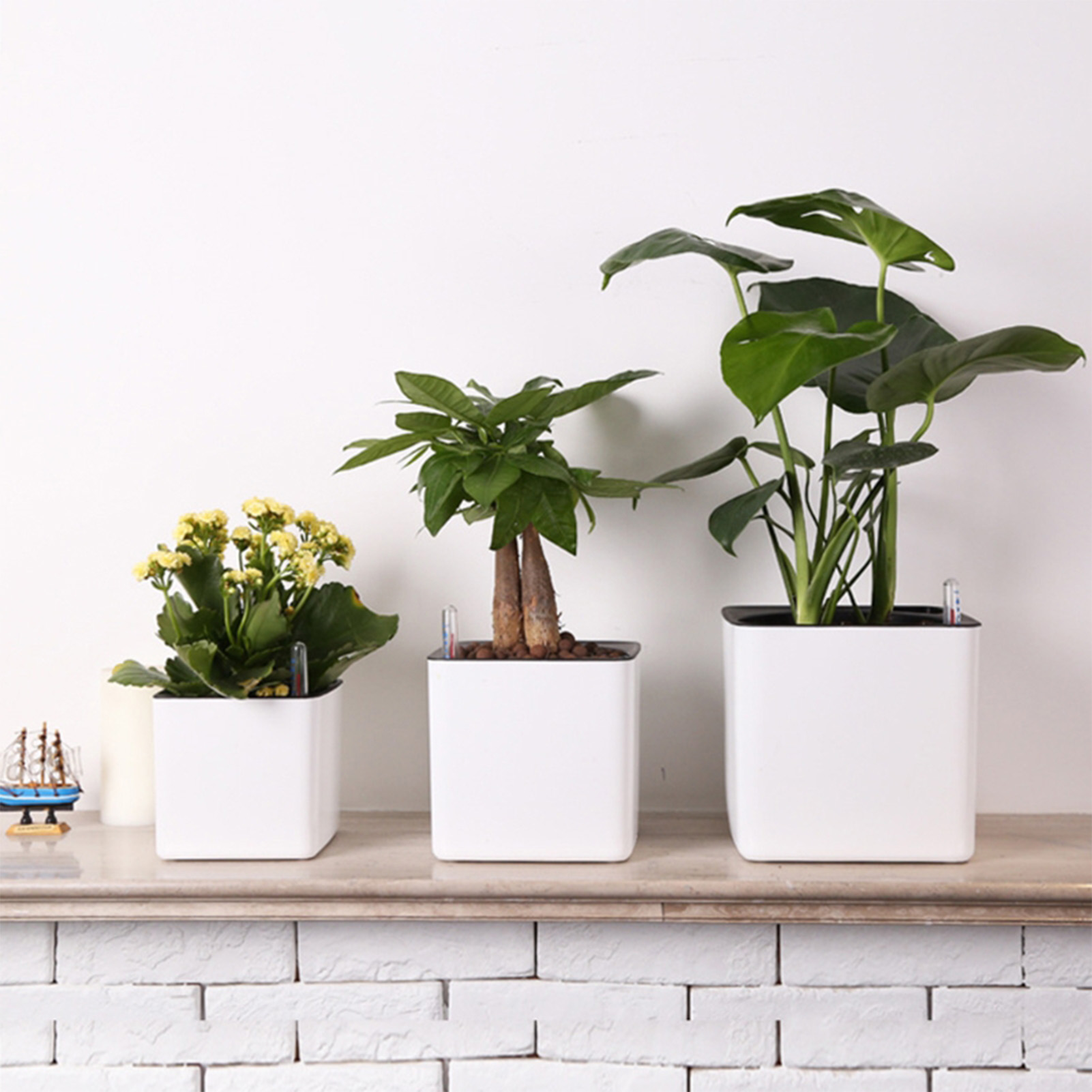 Automatic Self Watering Flower - Aloe Vera Pot incelemesi ve fiyatı