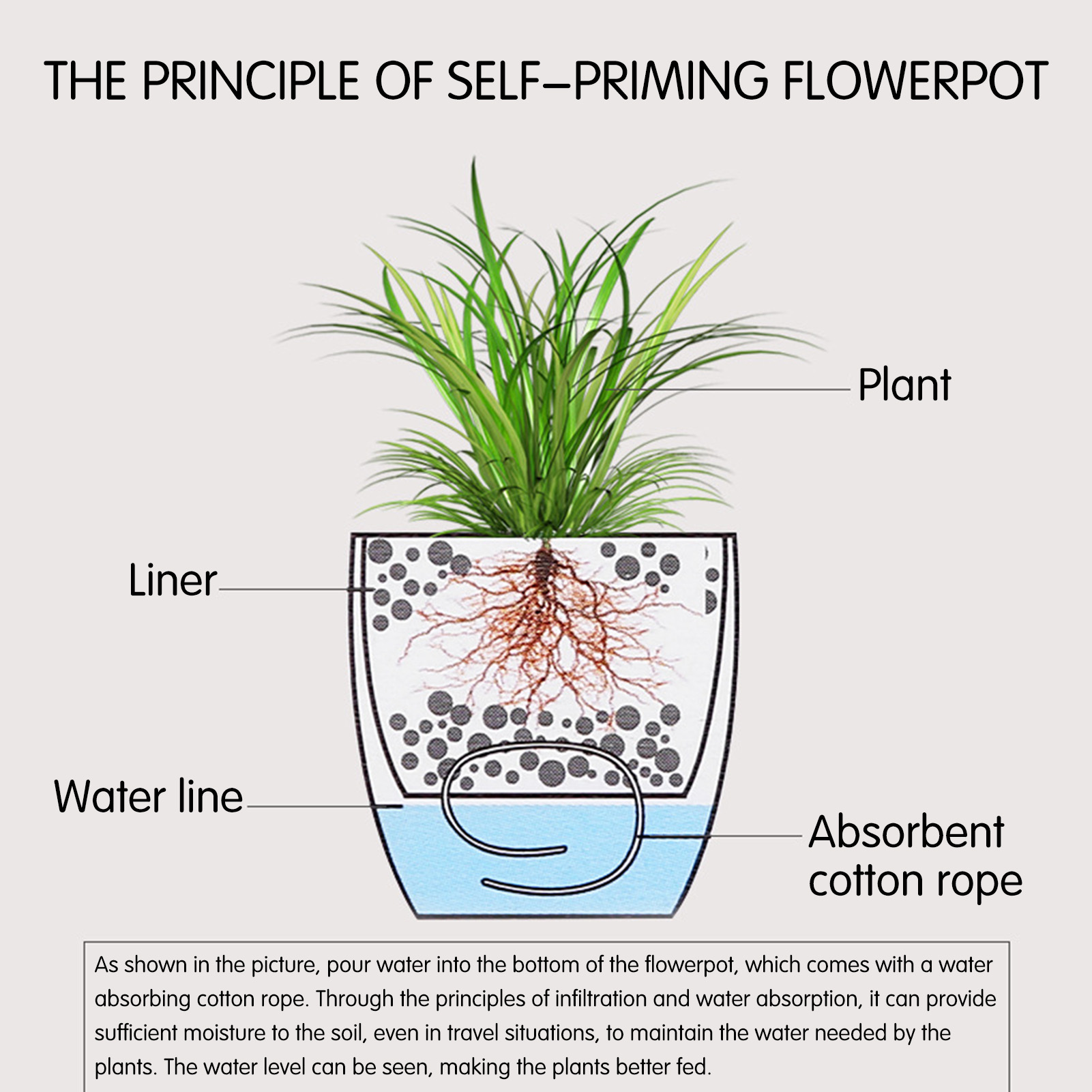 Automatic Self Watering Flower - Aloe Vera Pot incelemesi ve fiyatı