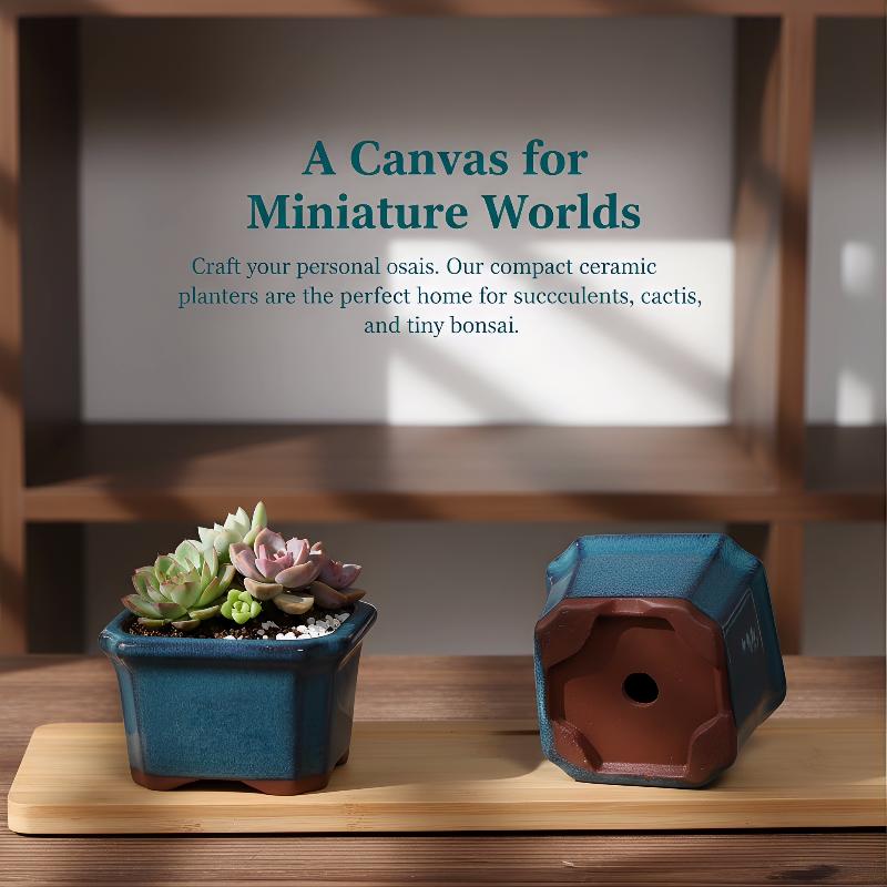 3PCS Mini Plant Pots for Succu - Echeveria Succulent incelemesi ve fiyatı