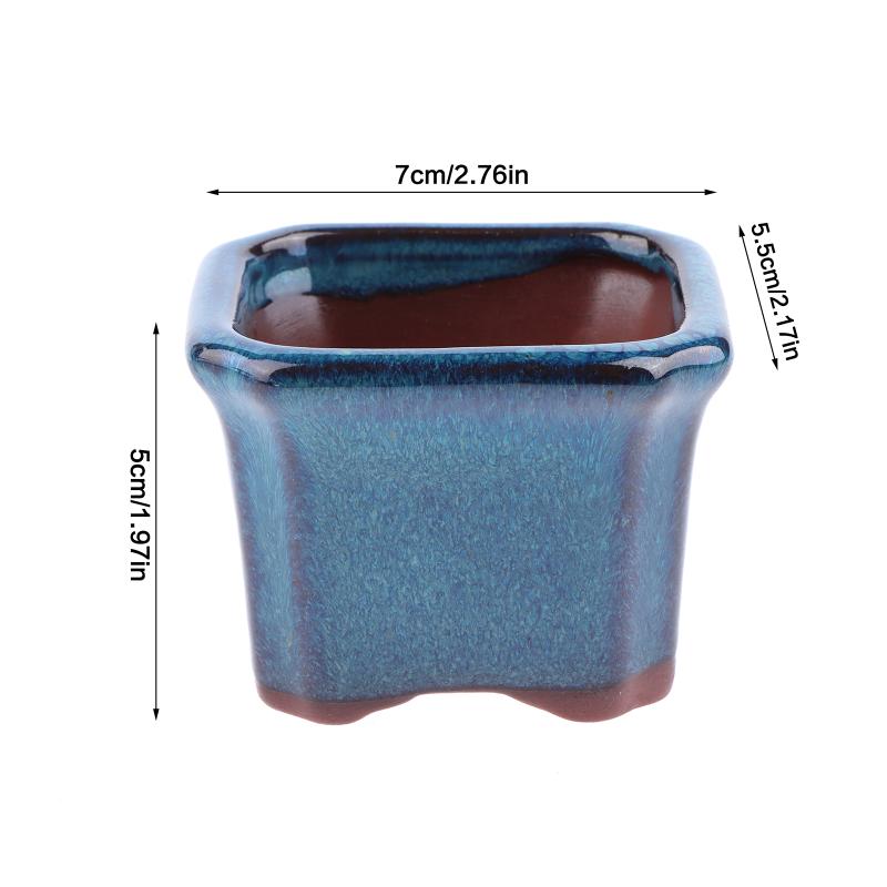 3PCS Mini Plant Pots for Succu - Echeveria Succulent incelemesi ve fiyatı