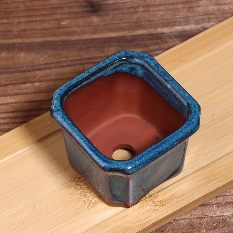 3PCS Mini Plant Pots for Succu - Echeveria Succulent incelemesi ve fiyatı