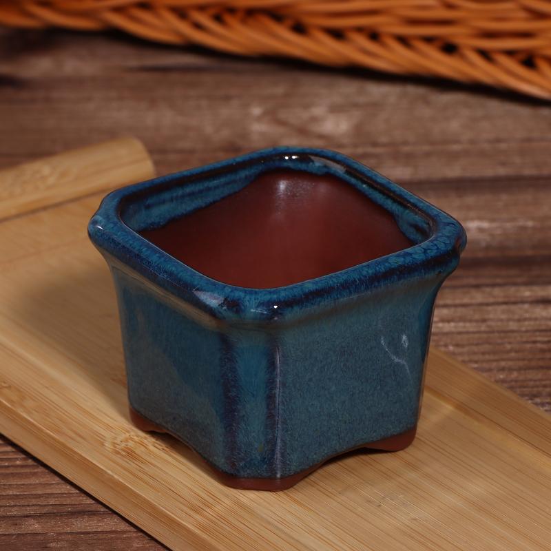 3PCS Mini Plant Pots for Succu - Echeveria Succulent incelemesi ve fiyatı