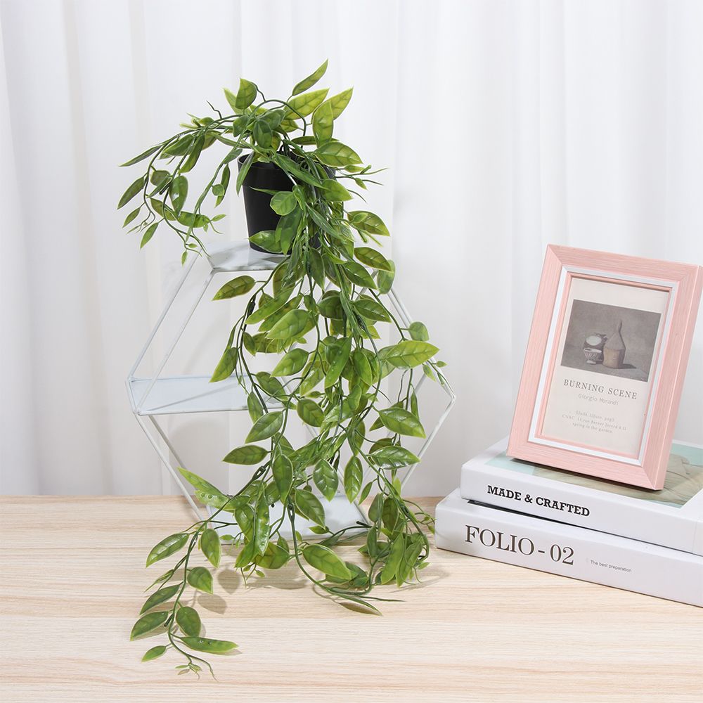 Artificial Hanging Plants with - Pilea Peperomioides incelemesi ve fiyatı
