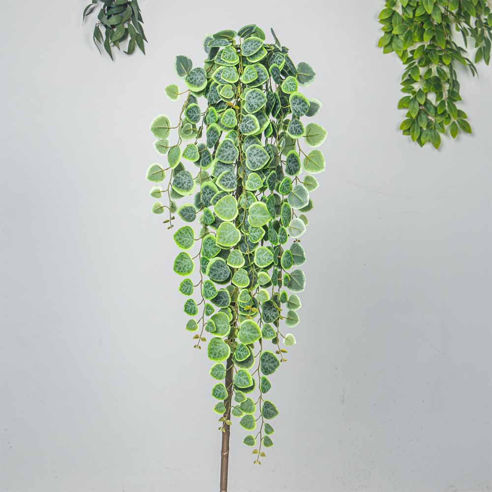 60-80cm Artificial Hanging Vin - Pilea Peperomioides incelemesi ve fiyatı