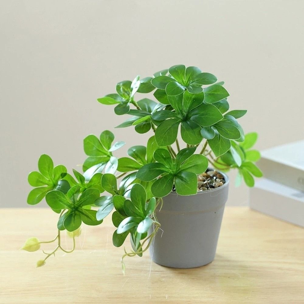 Bonsai Artificial Bonsai Plant - Spider Plant Hanging incelemesi ve fiyatı