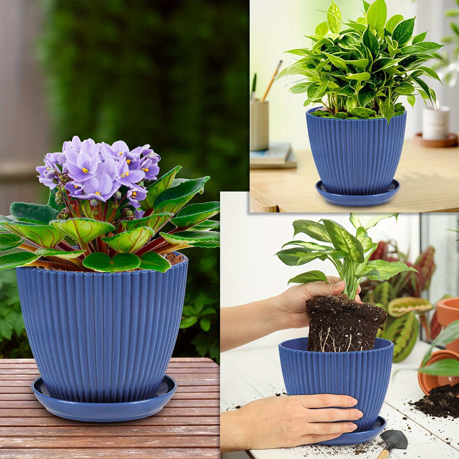 Vertical Striped Thickened Pla - Aloe Vera Pot incelemesi ve fiyatı