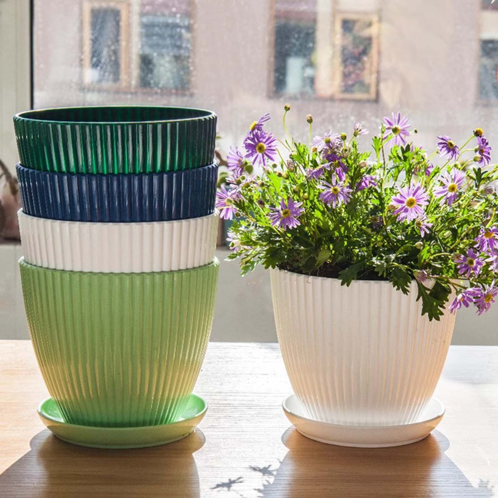 Vertical Striped Thickened Pla - Aloe Vera Pot incelemesi ve fiyatı