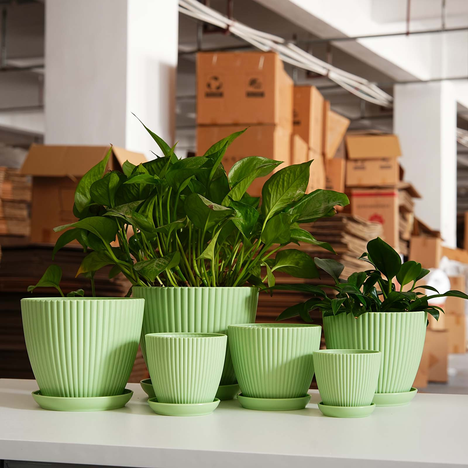 Vertical Striped Thickened Pla - Aloe Vera Pot incelemesi ve fiyatı