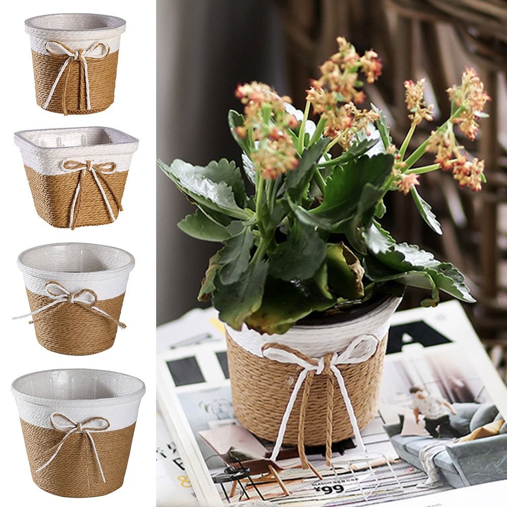 Paper Rope Braided Braided Flo - Pilea Peperomioides incelemesi ve fiyatı