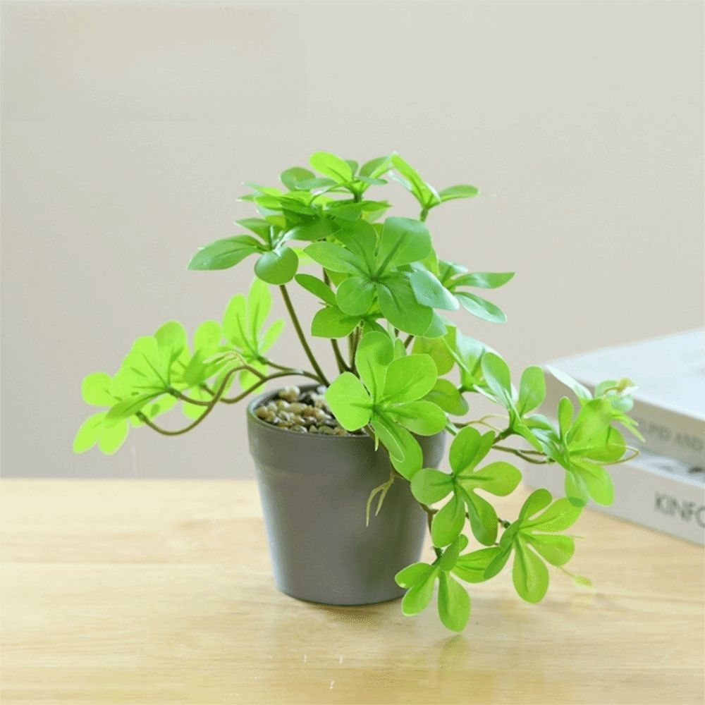 Bonsai Artificial Bonsai Plant - Spider Plant Hanging incelemesi ve fiyatı