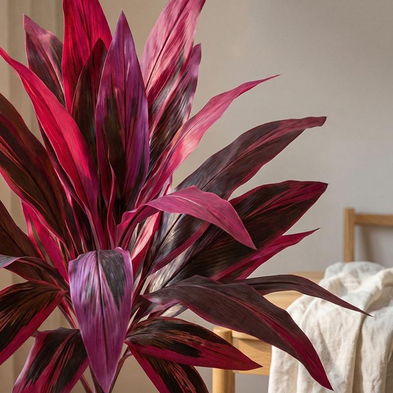Large Artificial Dracaena Marg - Dracaena Marginata incelemesi ve fiyatı