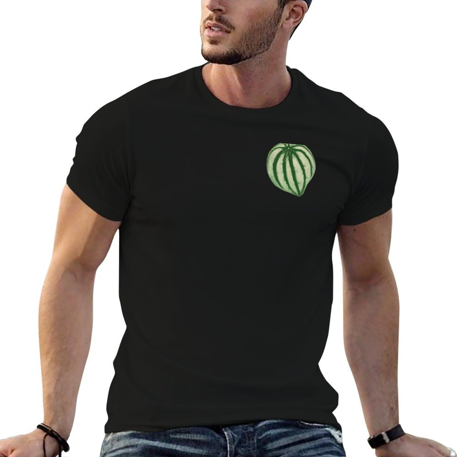 Watermelon Peperomia T-Shirt D - Peperomia Watermelon incelemesi ve fiyatı