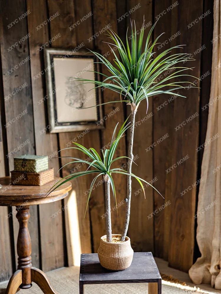 Light Luxury Simulation Green  - Dracaena Marginata incelemesi ve fiyatı