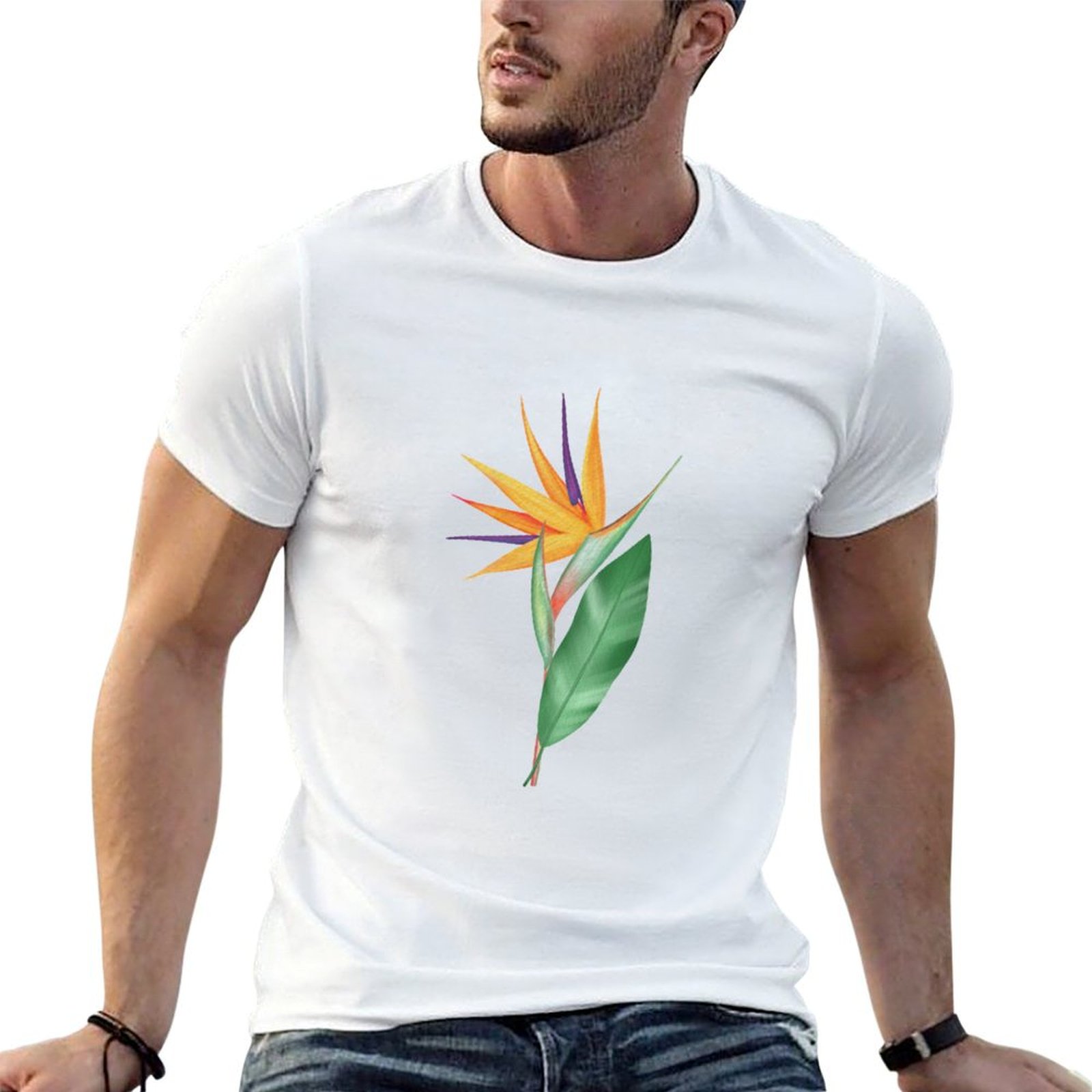 Watercolor bird of paradise fl - Bird Paradise Strelitzia incelemesi ve fiyatı