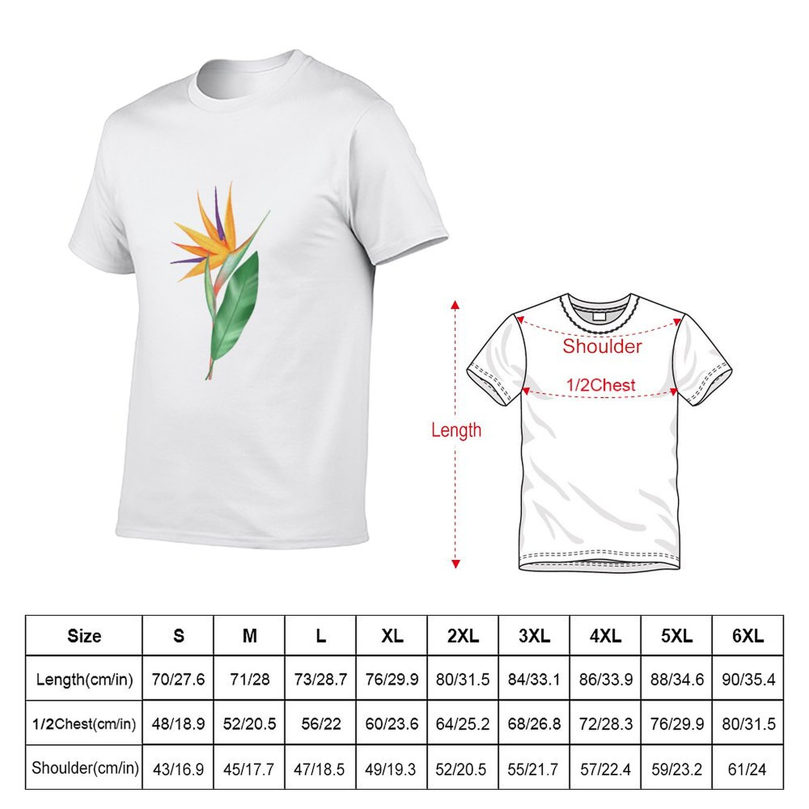 Watercolor bird of paradise fl - Bird Paradise Strelitzia incelemesi ve fiyatı