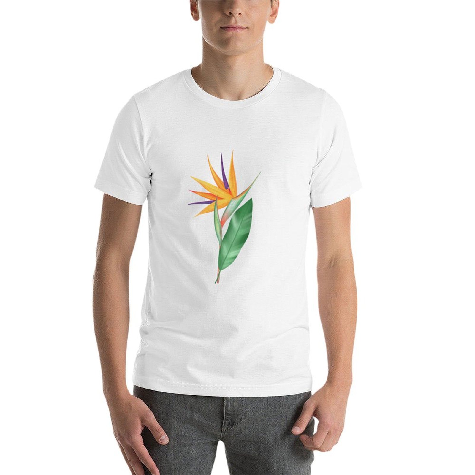 Watercolor bird of paradise fl - Bird Paradise Strelitzia incelemesi ve fiyatı