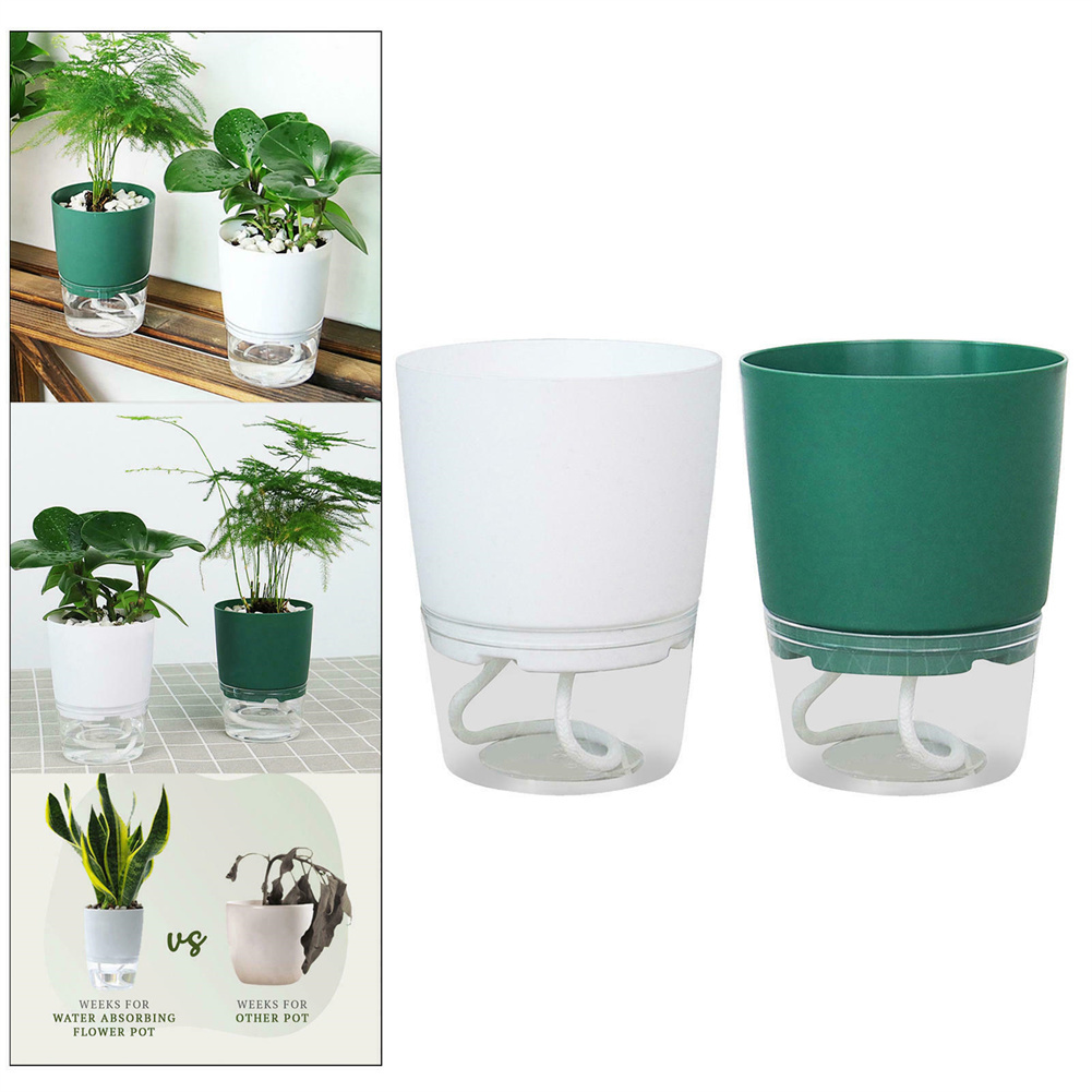 Lazy Hydroponic Flower Pot Aut - Aloe Vera Pot incelemesi ve fiyatı