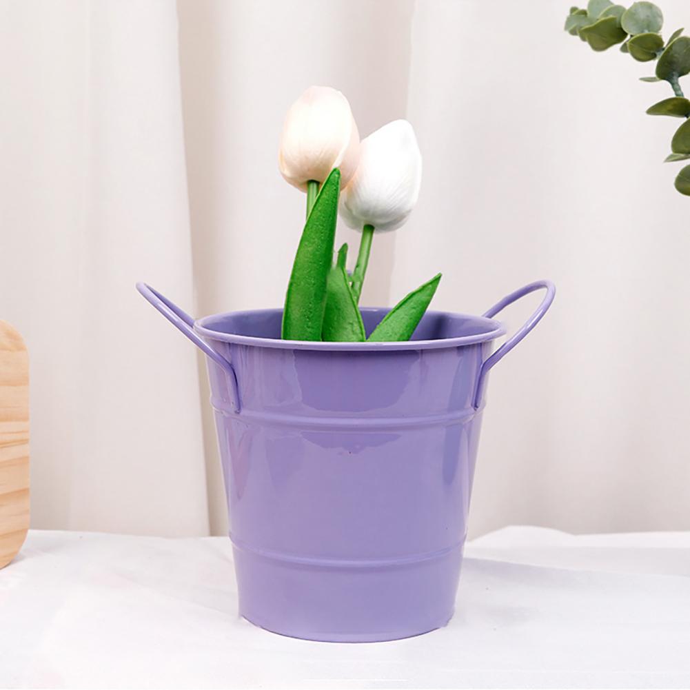 Flowerpot Candy Colored Iron F - Pilea Peperomioides incelemesi ve fiyatı