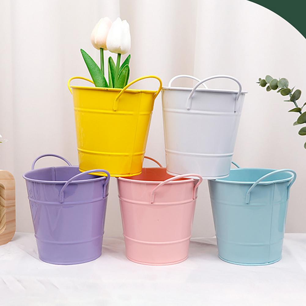 Flowerpot Candy Colored Iron F - Pilea Peperomioides incelemesi ve fiyatı