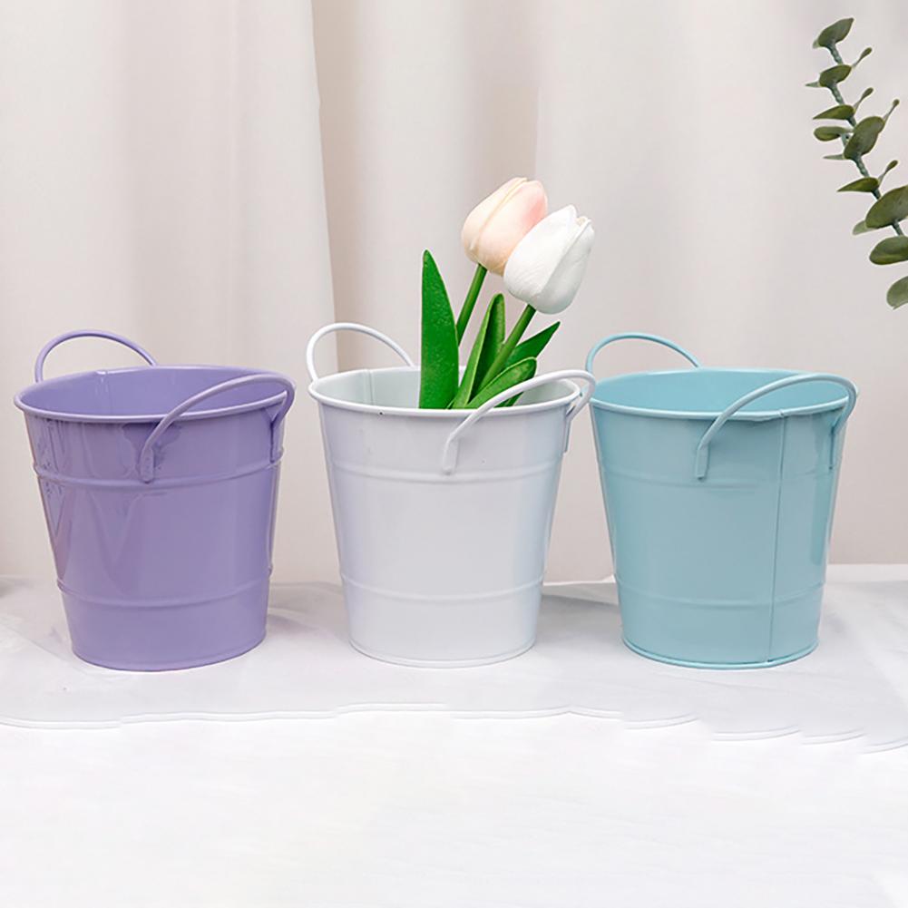 Flowerpot Candy Colored Iron F - Pilea Peperomioides incelemesi ve fiyatı