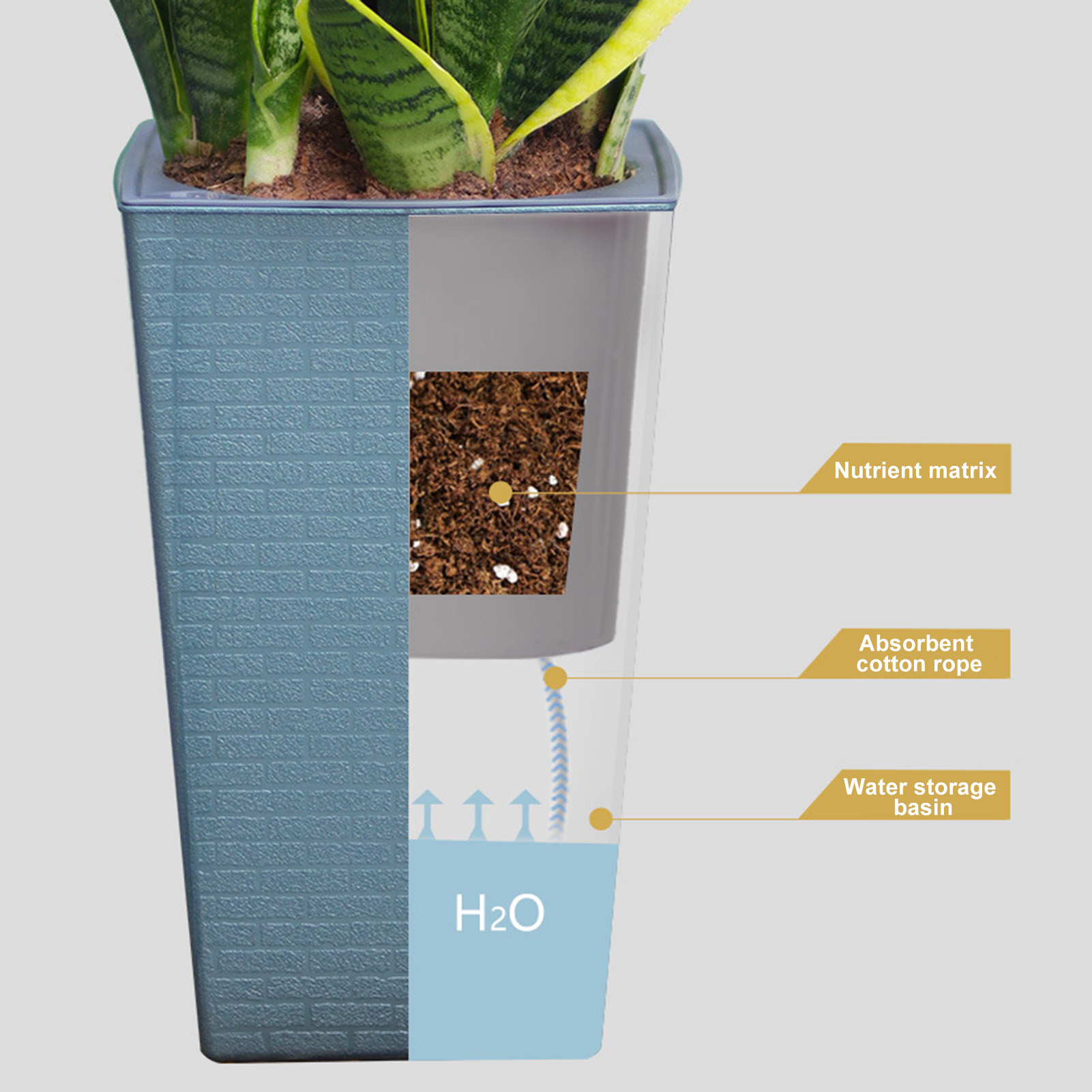 Self Watering Planter Handmade - Pilea Peperomioides incelemesi ve fiyatı