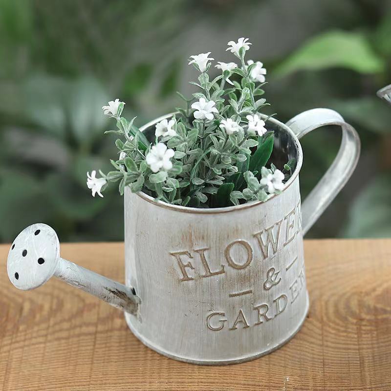 Barrels Garden Decoration Tin  - Pilea Peperomioides incelemesi ve fiyatı
