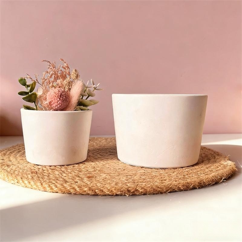 Round Plaster Vase Flowerpot C - Echeveria Succulent incelemesi ve fiyatı