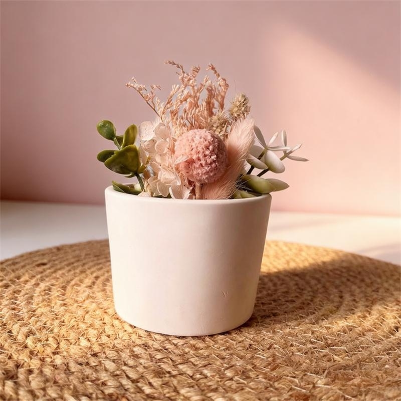 Round Plaster Vase Flowerpot C - Echeveria Succulent incelemesi ve fiyatı