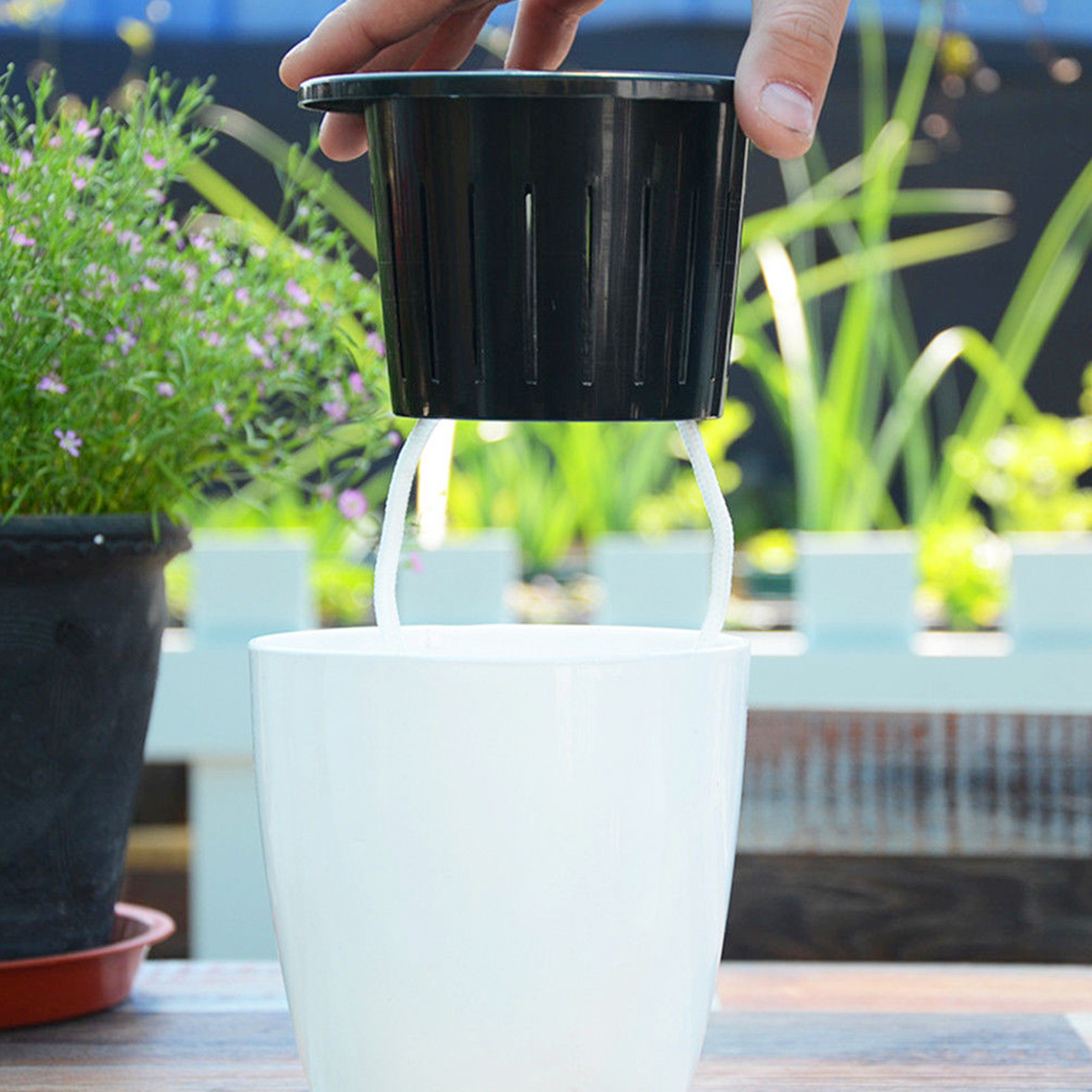 6/12Pcs Self-Watering Flower P - Aloe Vera Pot incelemesi ve fiyatı