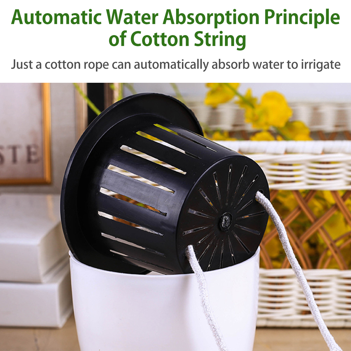 6/12Pcs Self-Watering Flower P - Aloe Vera Pot incelemesi ve fiyatı