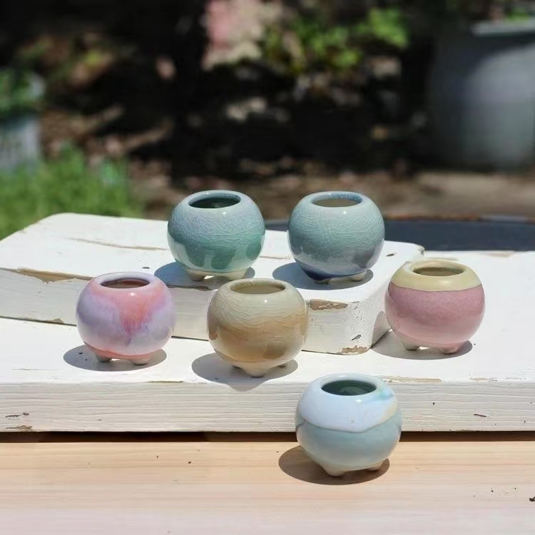 6Pcs Mini Flowerpot Succulents - Echeveria Succulent incelemesi ve fiyatı