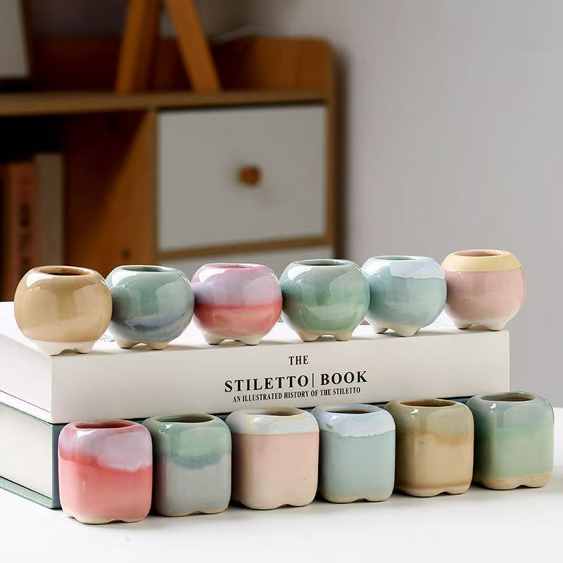 6Pcs Mini Flowerpot Succulents - Echeveria Succulent incelemesi ve fiyatı