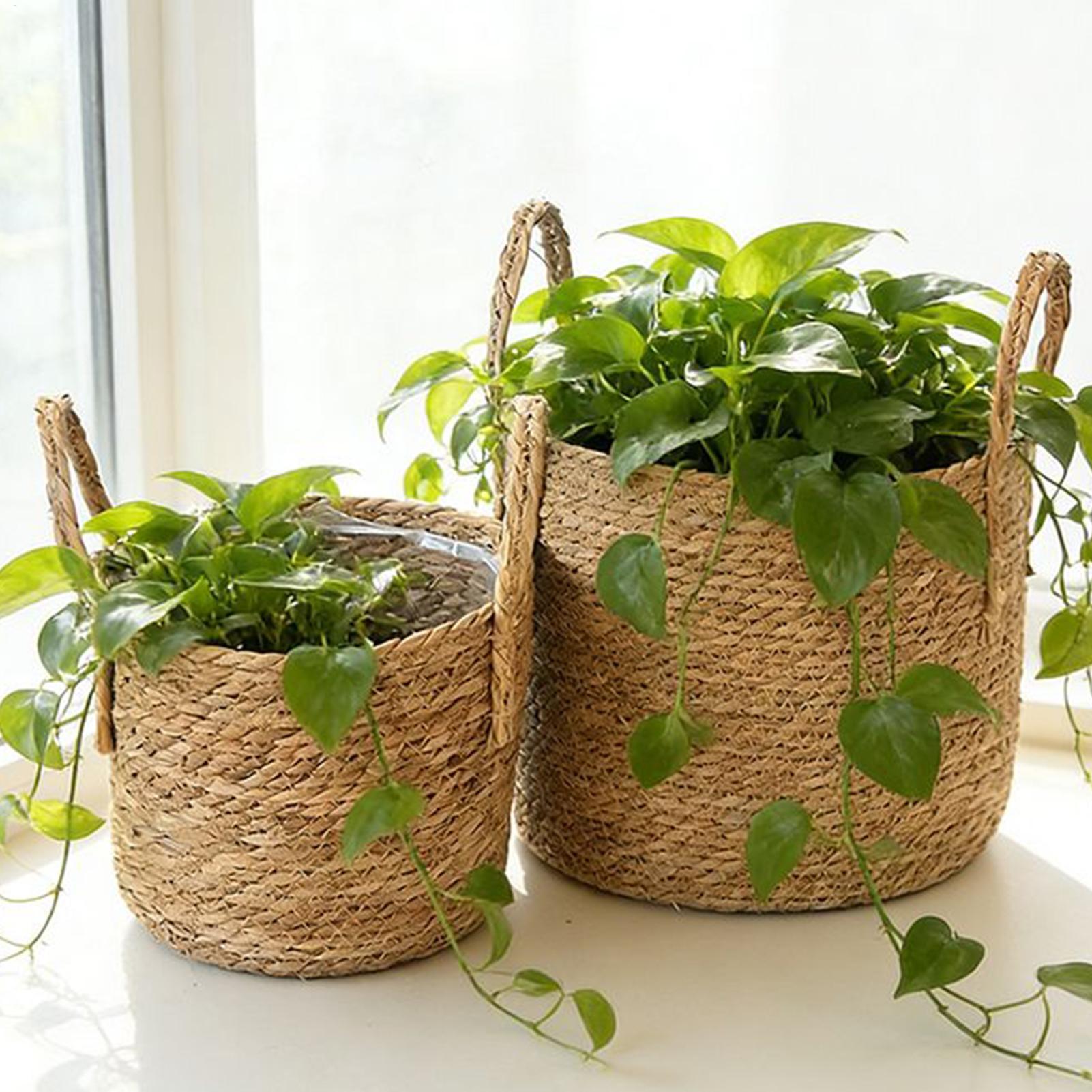 Planter Basket Straw Flowerpot - Pilea Peperomioides incelemesi ve fiyatı