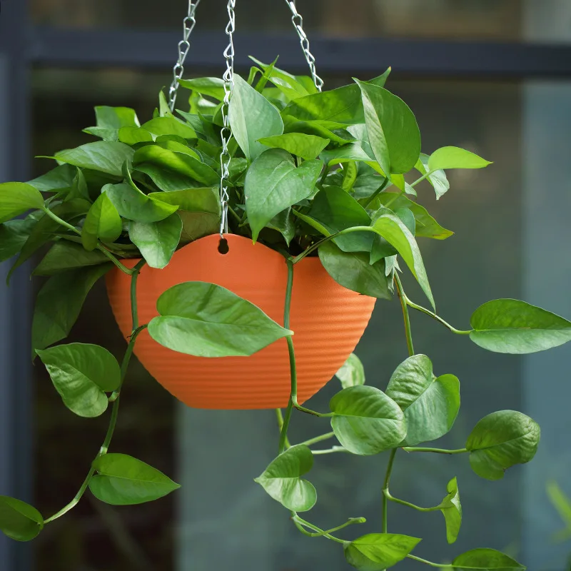 Creative Chinese Ceramic Flowe - Pilea Peperomioides incelemesi ve fiyatı
